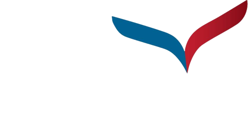 Vivek University